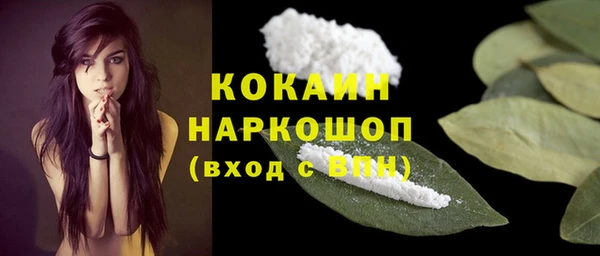 гидра Кукмор