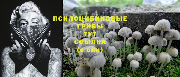 гидра Кукмор