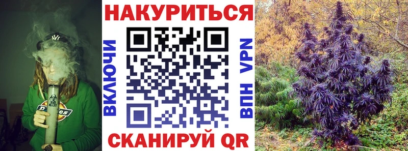 Купить  Апрелевка  Конопля семена 